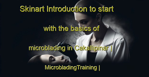 Skinart Introduction to start with the basics of microblading in Cakallipinar | MicrobladingTraining | MicrobladingClasses | SkinartTraining-Turkey